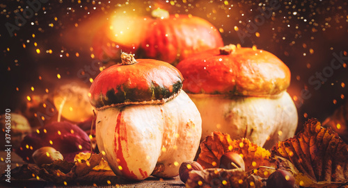 Happy Thanksgiving Day background, wooden table decorated with Pumpkins with light bokeh garland. Halloween concept. Beautiful Holiday Autumn Composition