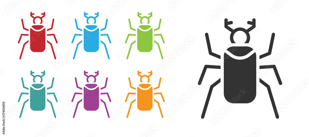Fototapeta premium Black Beetle bug icon isolated on white background. Set icons colorful. Vector.