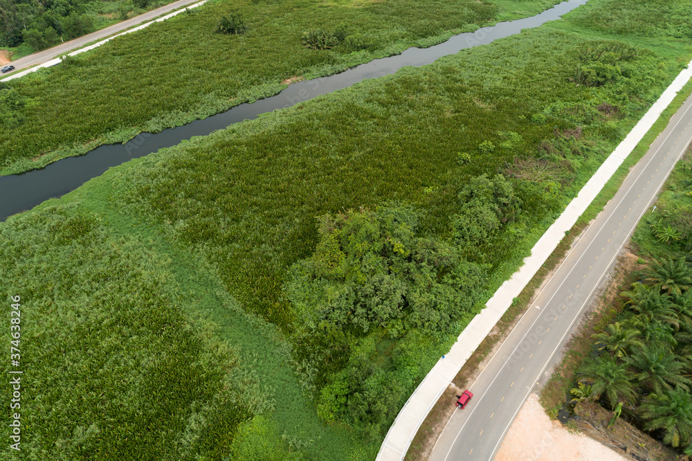 Aerial view drone shot of road between green field summer forest and river and lake in suratthani Thailand.