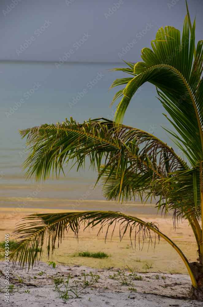 Fototapeta premium The view of the Pagoda beach and the sea on Koh Rong island in Cambodia