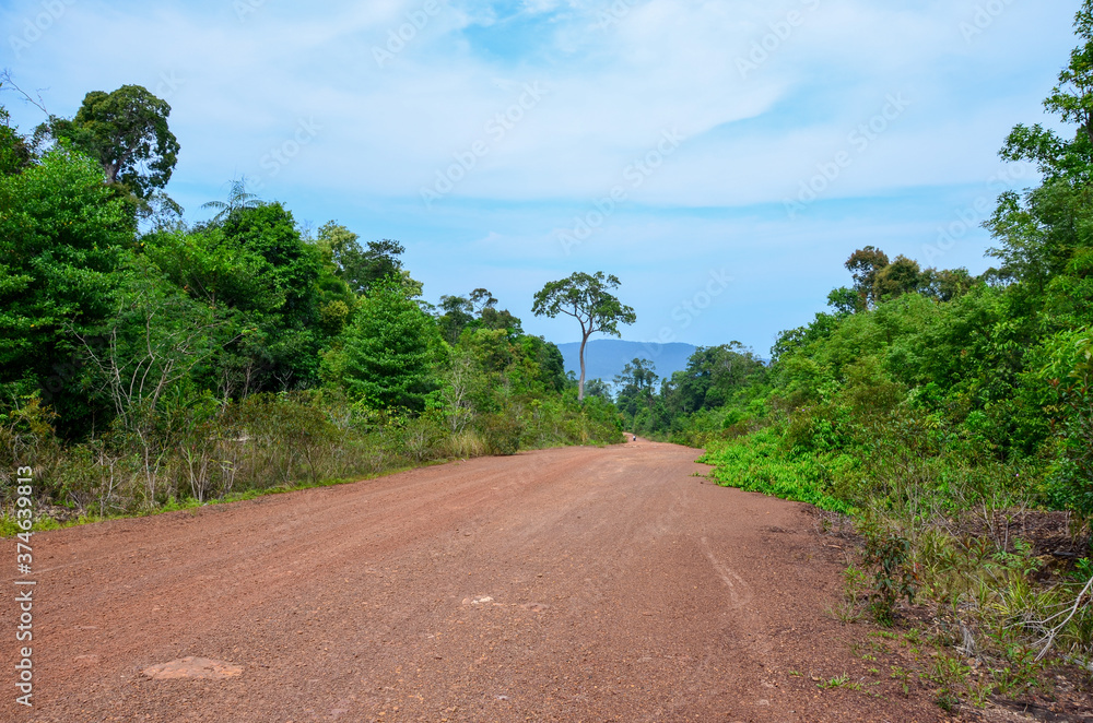 The view of the jungle and the main road on Koh Rong island in Cambodia