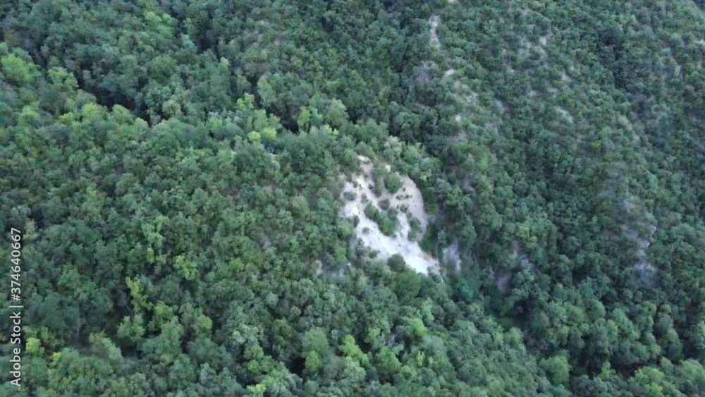 Upstairs view of the mountain and the trees Upstairs view of the mountain and the trees