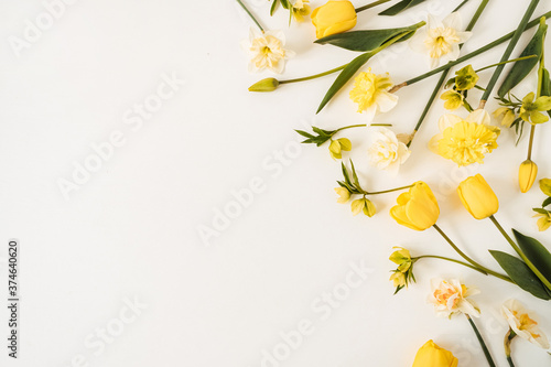 Yellow narcissus and tulip flowers on white background. Flat lay, top view floral festive holiday concept #374640620