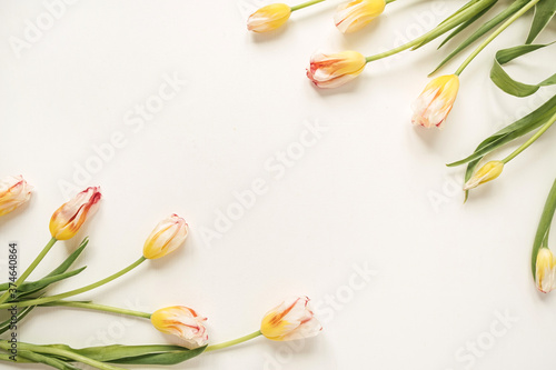 Border frame made of yellow tulip flowers on white background. Flat lay, top view festive holiday celebration. Copy space mockup #374640864