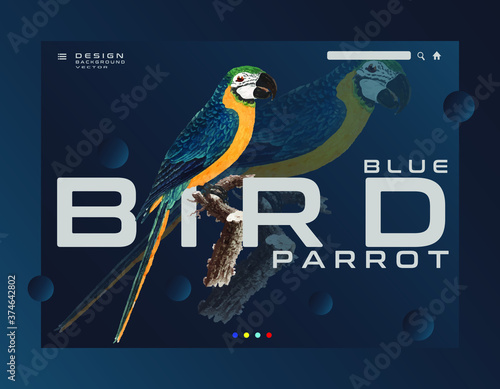 Parrot Ara Macaw vector popular modern realistic icon