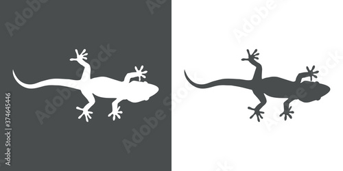 Silueta de lagarto en fondo gris y fondo blanco