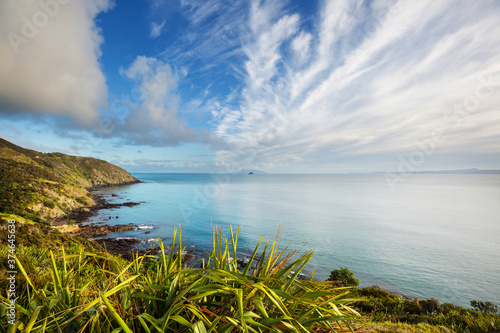 New Zealand coast