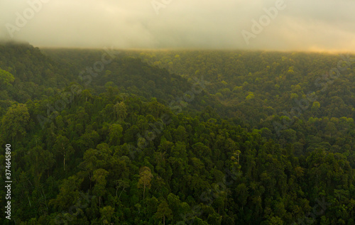 Corcovado National Park, Osa Peninsula, Puntarenas Province, Costa Rica, Central America, America © JUAN CARLOS MUNOZ