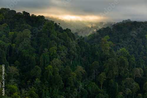 Corcovado National Park  Osa Peninsula  Puntarenas Province  Costa Rica  Central America  America