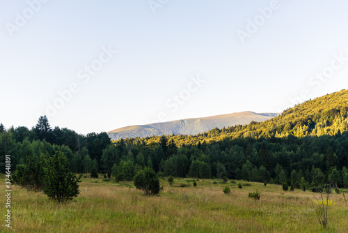 Traveling by the Carpathians. Polonyna Runa, Gostra, and other peaks. Spring, Summer and Autumn rest in the Carpathians. Green, Blue colors. Forest and meadows.