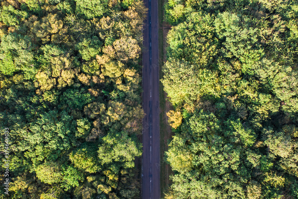 vue aérienne d'une route traversant une forêt.
