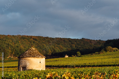 maisonnette en pierres dans les vignes automnales de Bourgogne. Vignoble automnale et cabote de pierre photo