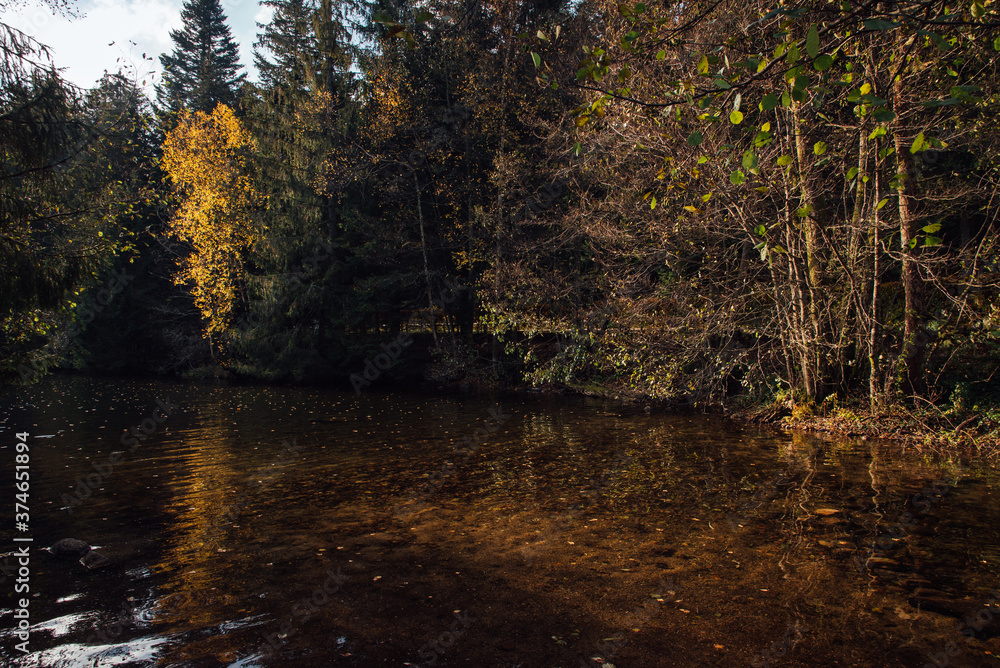 Une forêt en automne au bord d'un lac. Une forêt automnale vers un lac. Le lac de Gérardmer en automne