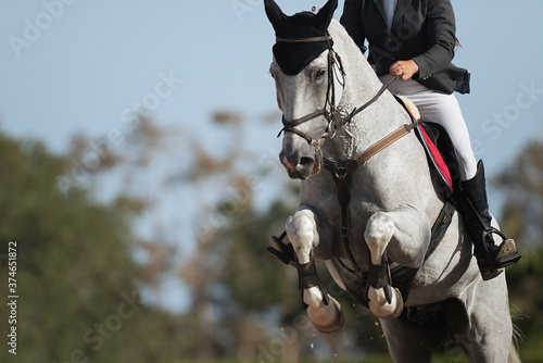 Dżokej na koniu skacze przez przeszkodę, przeskakując przeszkodę podczas zawodów