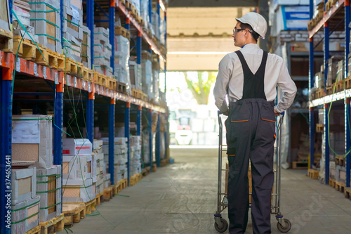 Back view of a warehouse worker with a trolley