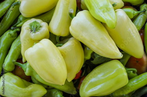 Freshly picked vegetables. Different types of peppers, tomatoes and more. Organic vegetables grown in the garden. photo