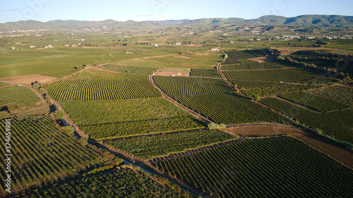 Fotografías Aéreas de Viñedos en el Penedes DO de Barcelona España