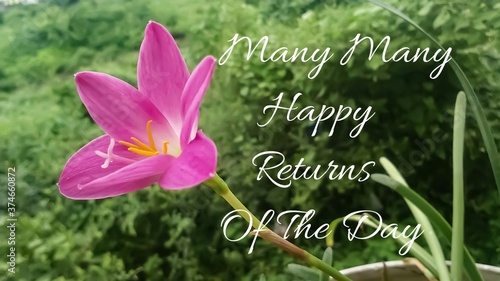 Valokuva many many happy returns of the day birthday wishes with pink flower on nature ba