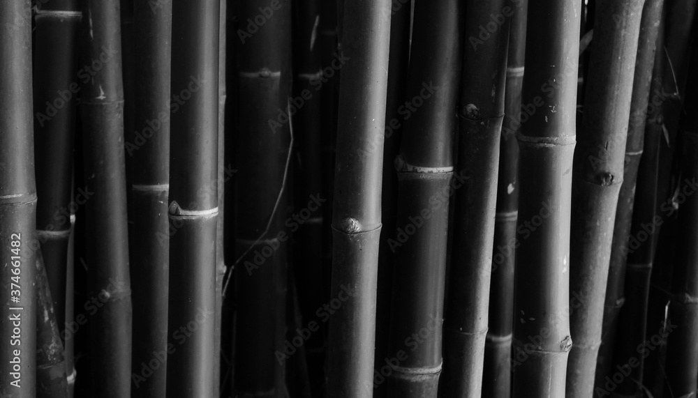 stack of bamboo pipes stack of bamboo pipes
