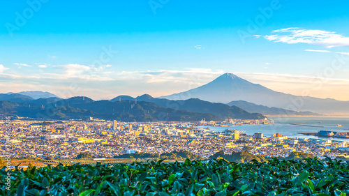 Sunrise over Fuji Mountain and green tea field 7