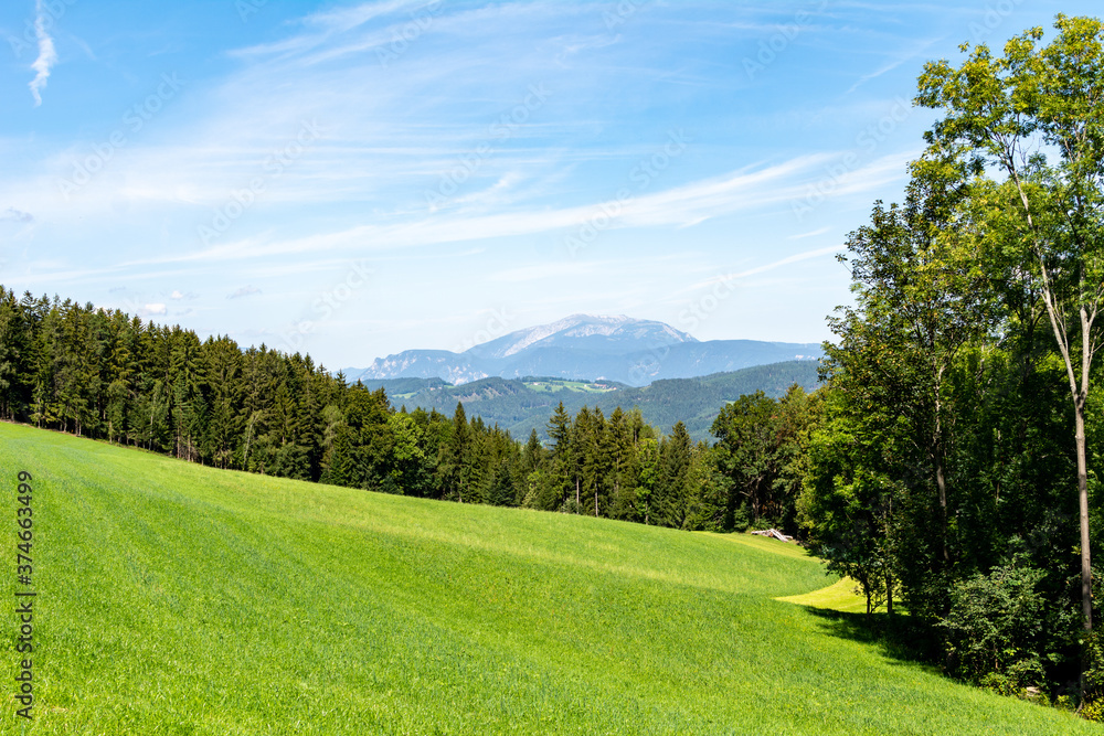 Fototapeta premium Beautiful view of idyllic alpine mountain scenery with meadows, trees and mountain peaks on a beautiful sunny day with blue sky in summer
