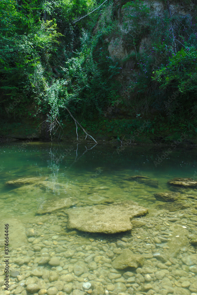 view of the transparent water of the Bourne river in Isere, France
