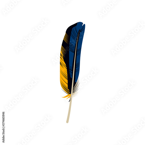 Colorful bright feather of exotic bird. Beautiful detailed long feather of tropical paradise bird vector illustration isolated on white background