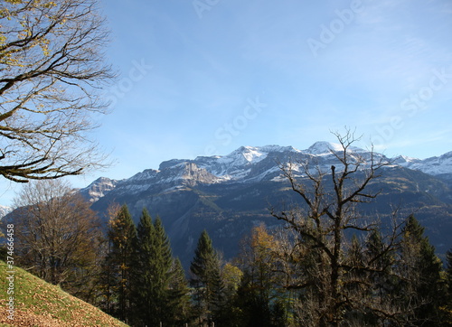 Beautiful Autumn landscape at Brienz with lake and snow mountain views, Switzerland, Europe