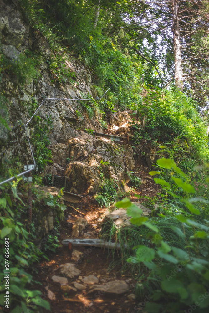 Fototapeta premium Basic staircase on a hike in the mountains in the Swiss canton of Appenzell