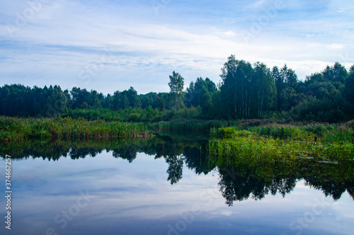 Morning sunrise with blue sky on a forest lake