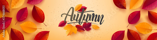 Autumn poster and banner template with autumn colorful leaves on yellow background.Greetings and presents for Autumn season.Promotion template for Autumn or fall concept