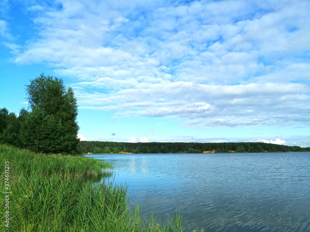 summer landscape with lake in the forest