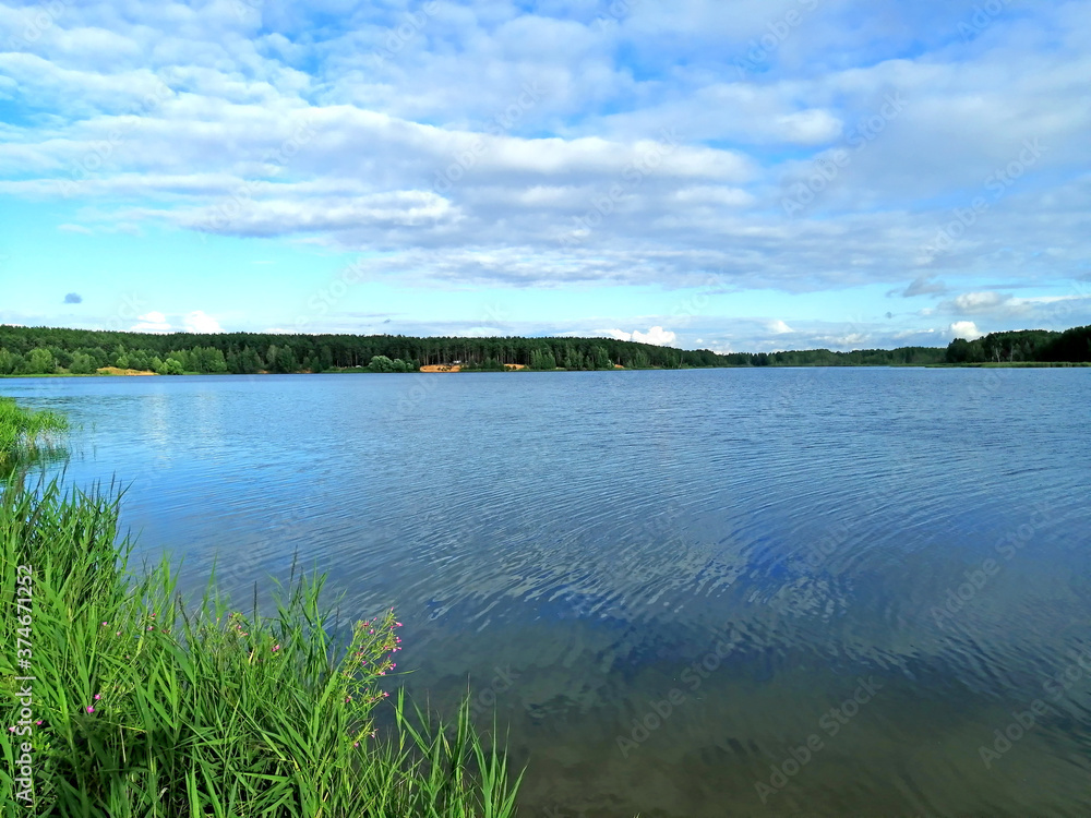 Fototapeta premium summer landscape with lake in the forest