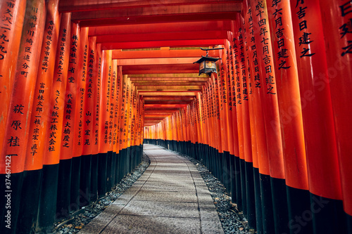 Fotografie, Obraz Fushimi Inari