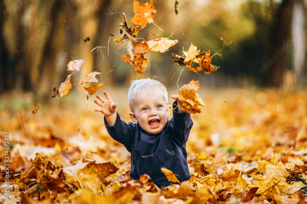 Little cute baby boy have fun outdoors in the park in autumn time. - obrazy, fototapety, plakaty 