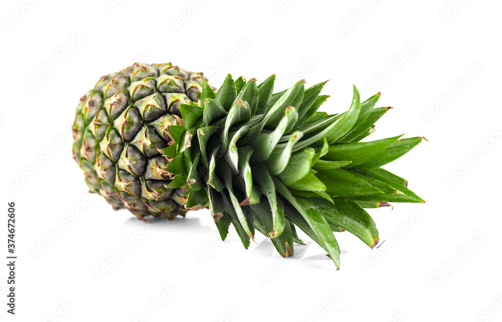 pineapple isolated on white background