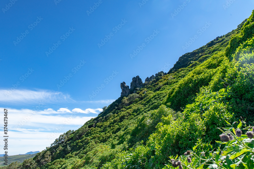 北海道 黒岳山頂周辺の夏の風景 北海道 黒岳山頂周辺の夏の風景