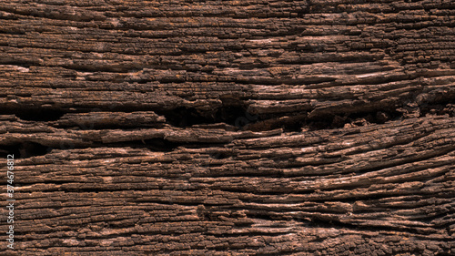 Close up of old wood texture  wooden vintage style  Decayed wood surface background.
