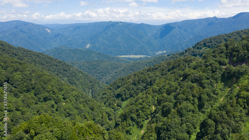 Fototapeta premium 白山スーパー林道