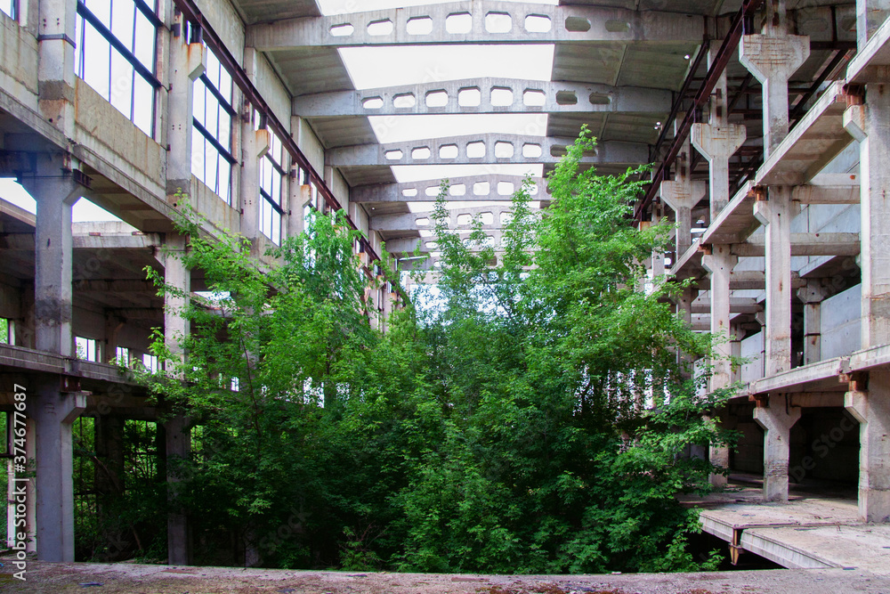 Obraz premium Old abandoned ruined industrial building overgrown by plants and trees
