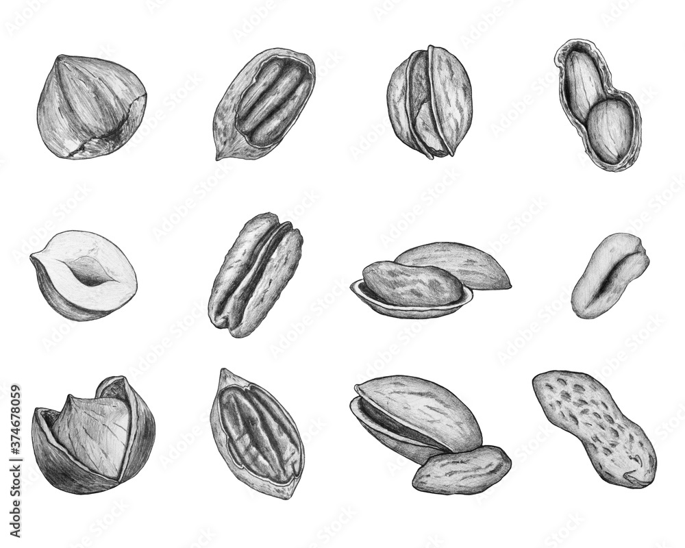 Set of nuts.Illustration drawn in pencil on a white background isolated.Freehand drawing.Realistic peanuts,pecans,hazelnuts,pistachios.Illustration for flyer,poster,wallpaper,web,invitation,menu. Set of nuts.Illustration drawn in pencil on a white background isolated.Freehand drawing.Realistic peanuts,pecans,hazelnuts,pistachios.Illustration for flyer,poster,wallpaper,web,invitation,menu.