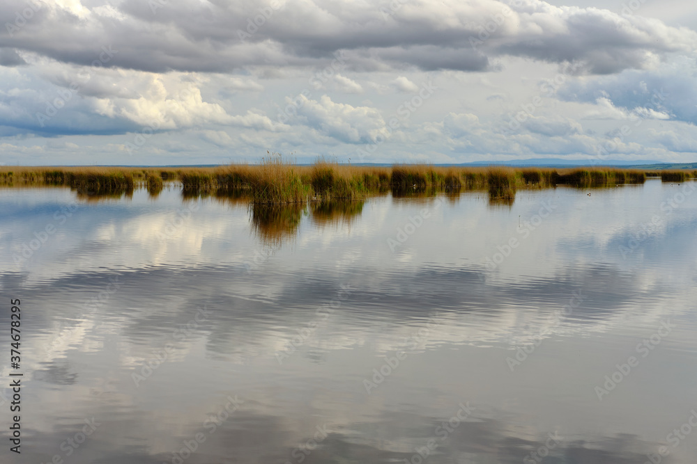 Fototapeta premium Landschaft am Neusiedler See bei Illmitz im Nationalpark Neusiedler See, Burgenland, Österreich