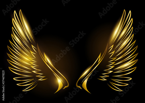 Golden wings on black background