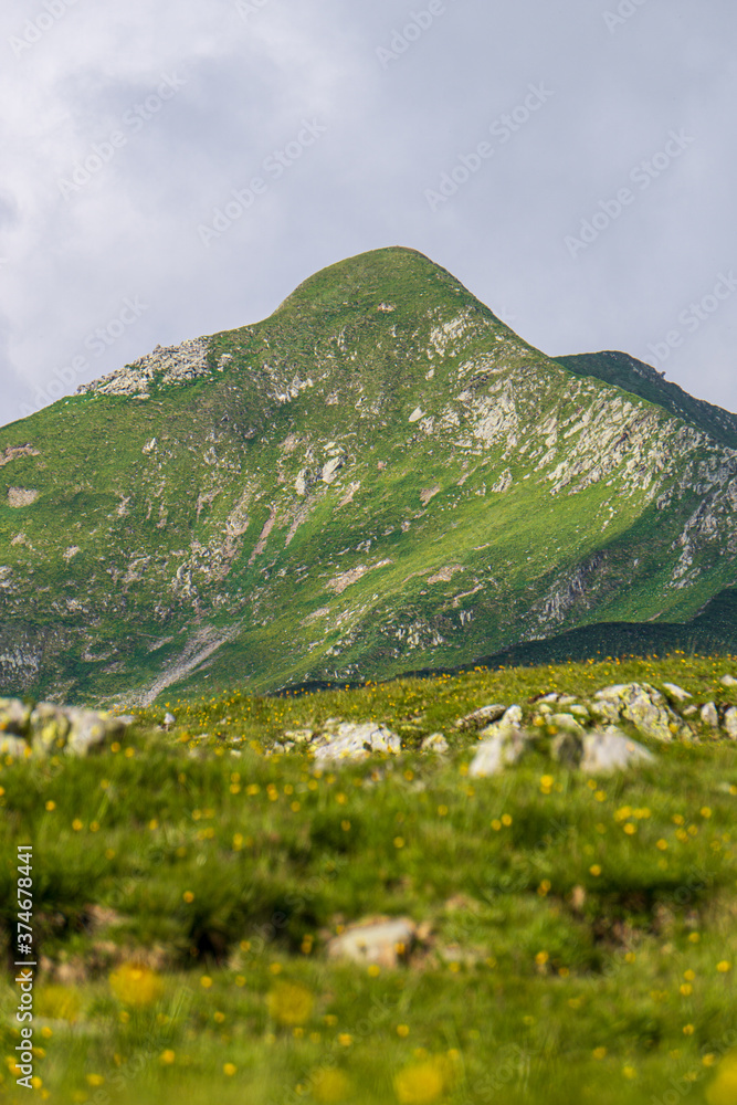 Obraz premium The meadows, the views and the peaks of the orobie alps during a summer afternoon, near the San Marco pass, Lombardy, Italy - June 2020