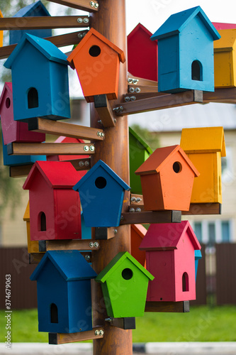 Colorful birdhouse in the park