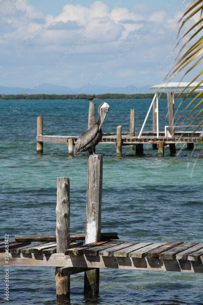 wooden pier on a tropical island wooden pier on a tropical island