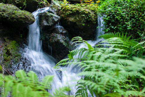 waterfall in the forest