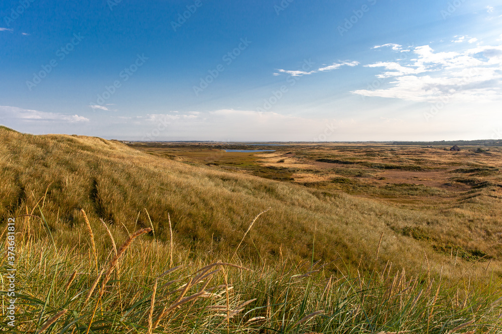 Fototapeta premium Dünenlandschaft