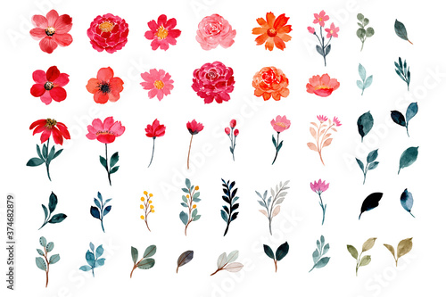 Watercolor flower and leaves element collection