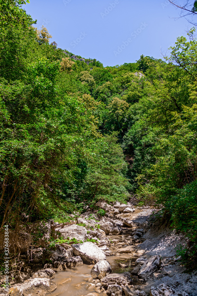 The rocky gorges and green lush forest.Summer landscape The rocky gorges and green lush forest.Summer landscape